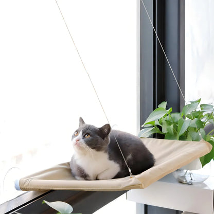 Cama colgante gato pared hamaca